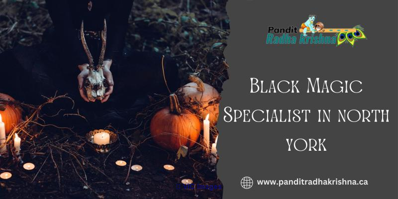 Find a Black Magic Specialist in North York and Canada
