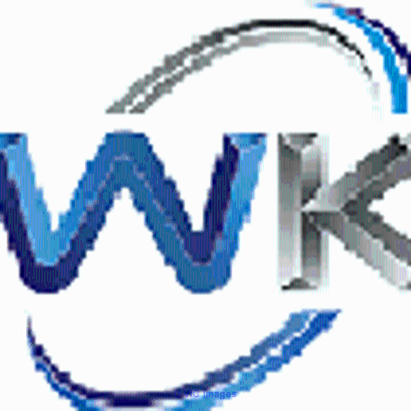 #1 Tax Company | Professional Tax Preparation | WK Tax Services