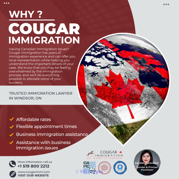 Cougar Immigration  Best Immigration Law Firm in Windsor, Canada