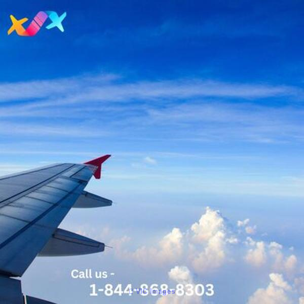 1-844-868-8303 United Airlines Direct Flights