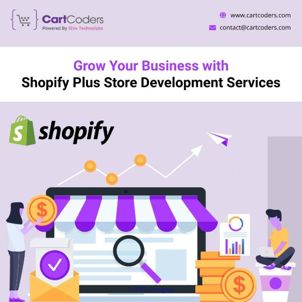 Set Up a New eCommerce Store with a Shopify Plus Development Agency