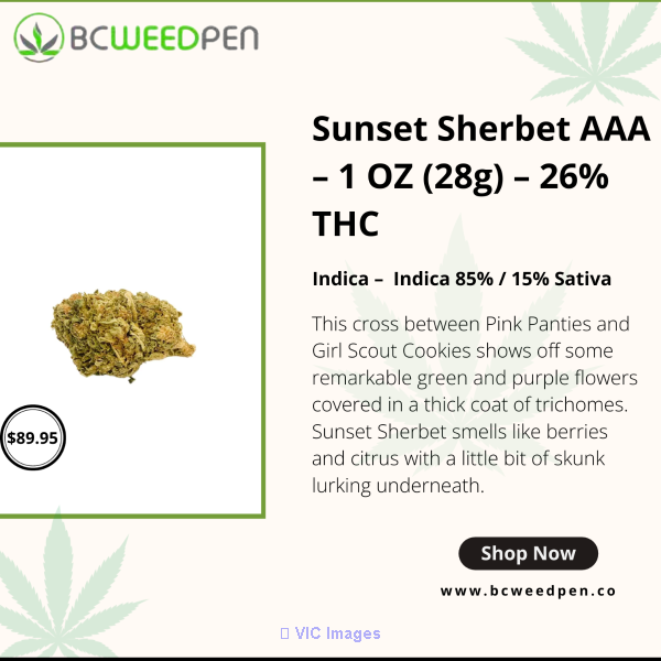Vaping Elevation the Ultimate Guide to Weed Cartridges - Bcweedpen