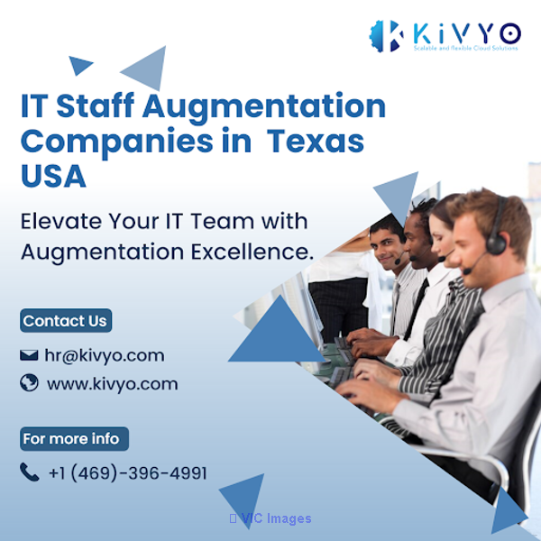 IT Staff Augmentation Companies in Texas USA