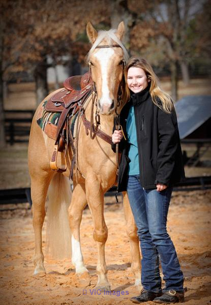 Trained Palomino Gelding Horse { 15.3Hands Tall }