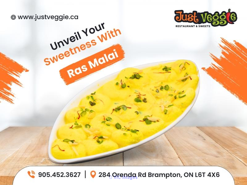 Superior indian restaurant | Brampton | Just Veggie