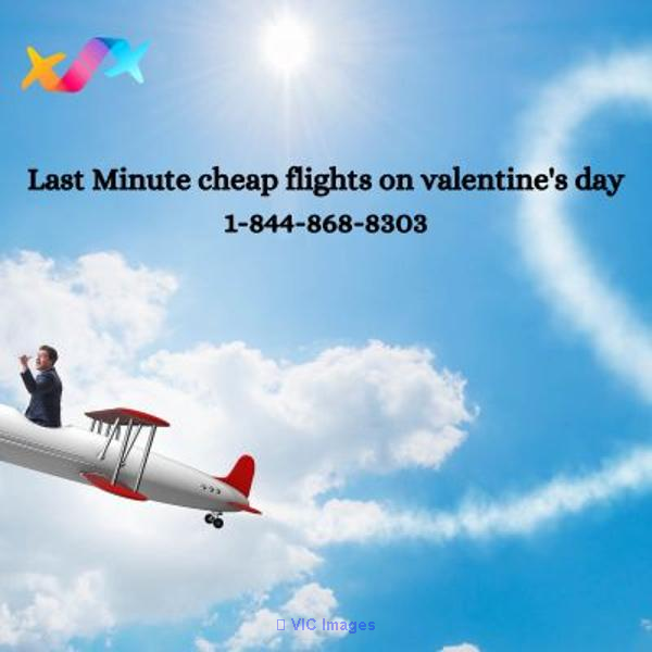 1-844-868-8303 Last Minute cheap flights on valentine's day