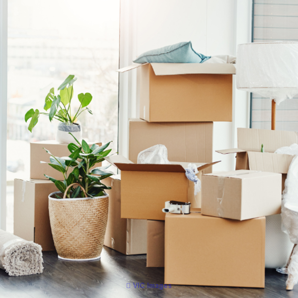 Your Top Choice for Toronto Movers and Junk Removal Services!