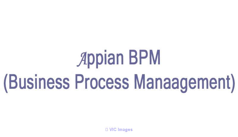 Appian BPM Online Training Coaching Course In India