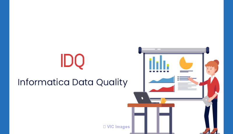 Informatica Data QualityOnline Training Coaching Course In India
