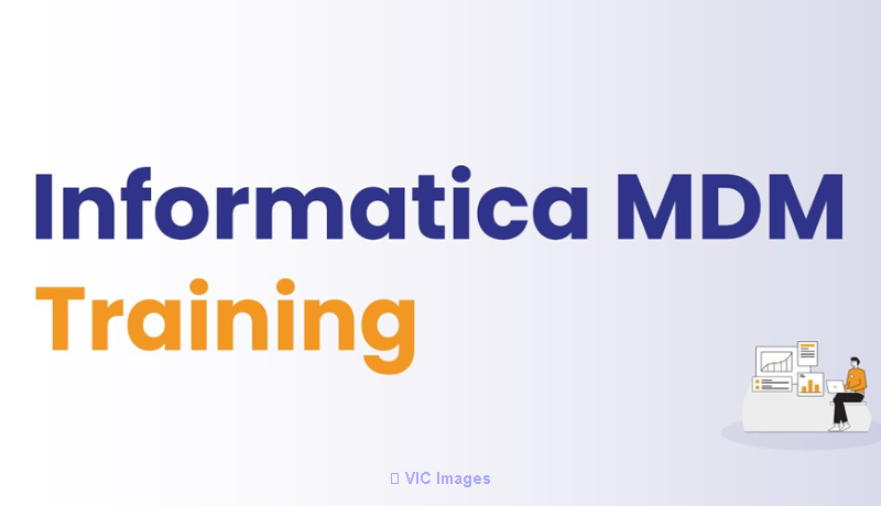 Informatica MDM (Master Data Management) Online Training In Hyderabad