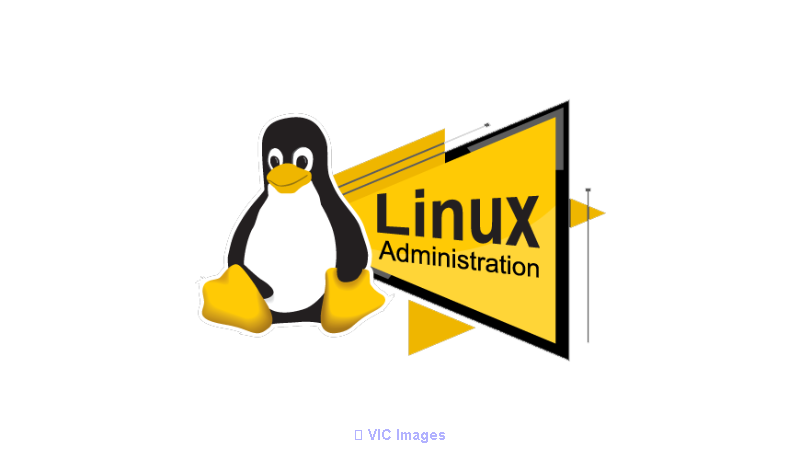 Linux Admin Professional Certification & Training From India
