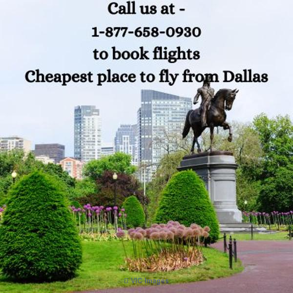 1-877-658-0930 What is the cheapest place to fly from Dallas?