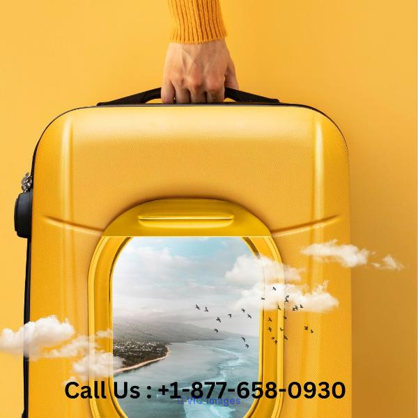 +1-888-413-6950 Book Sun Country Airlines Flight to Minneapolis(MSP)