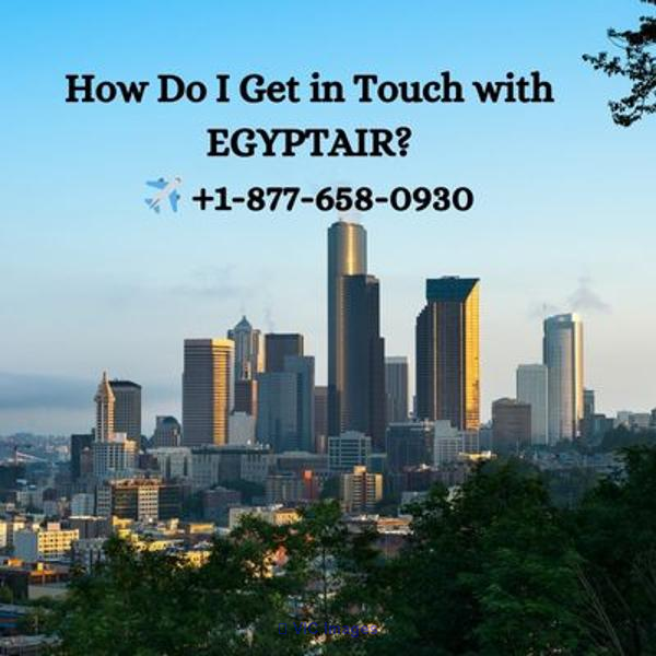 How Do I Get in Touch with EGYPTAIR? ✈️ +1-877-658-0930