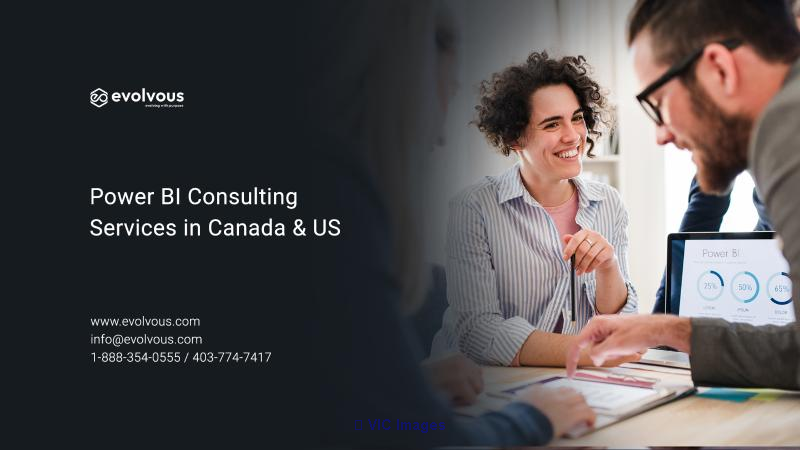 Power BI Consulting Services in Canada & US