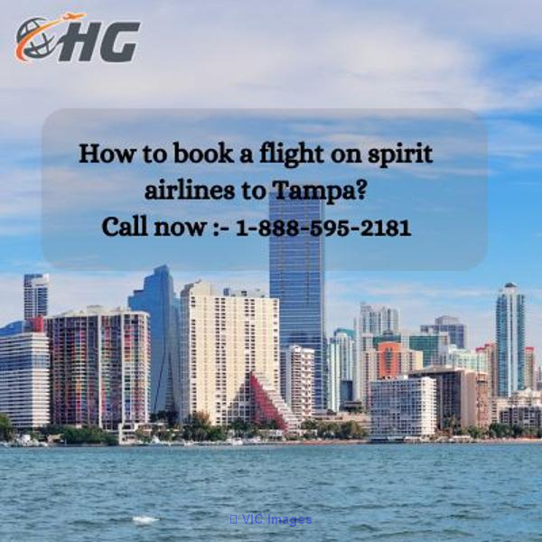 1-888-595-2181 How to book a flight on spirit airlines to Tampa?