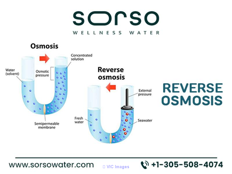 Sorso Wellness Water: Reverse Osmosis for Pure, Healthy Hydration