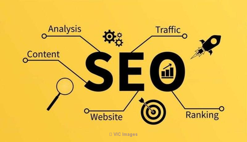 Website Designing Company & SEO Services in Delhi