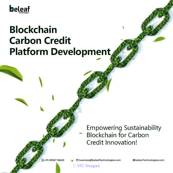 Who Can Benefit from Carbon Credit Platform Development?