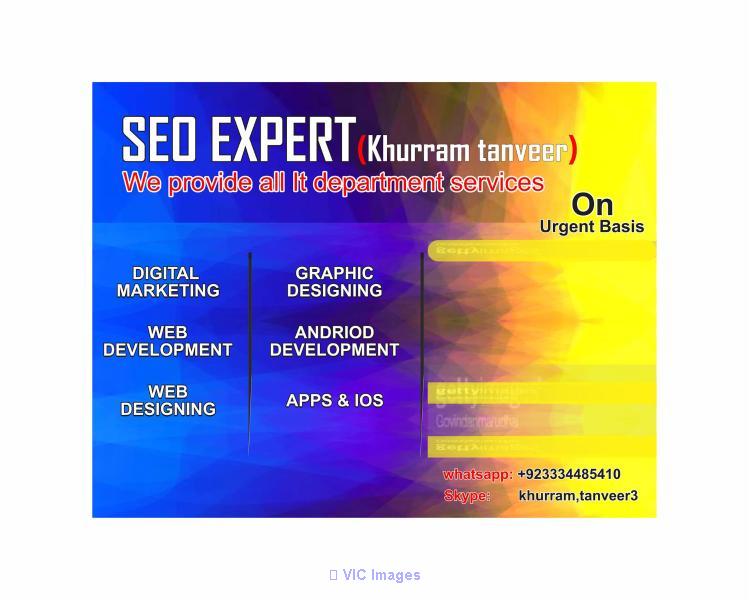 we will do rank your website google top first page