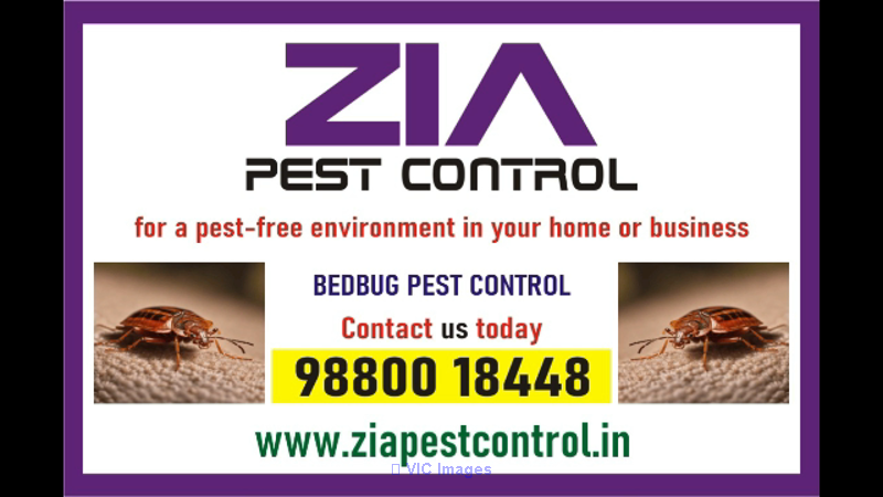 Zia Pest control | Garden pest control |  Cockroach |  Rodent control