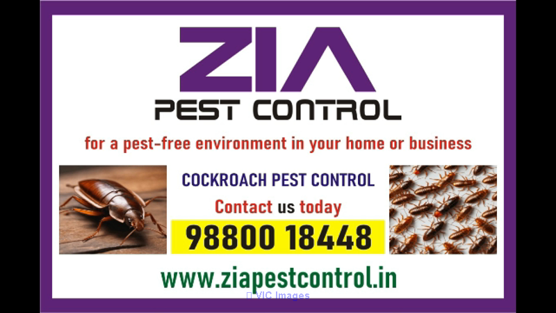 Zia pest control service | Pest service provided at rs. 799/-| 1973