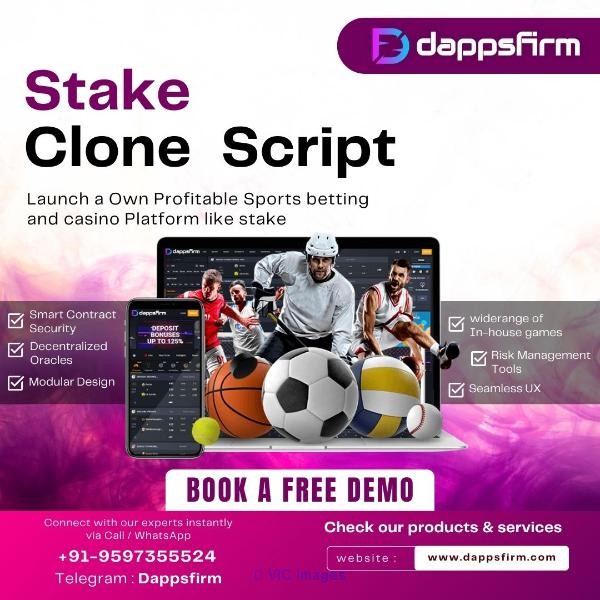 Build Your Own Gambling Empire with Stake Casino Clone Script