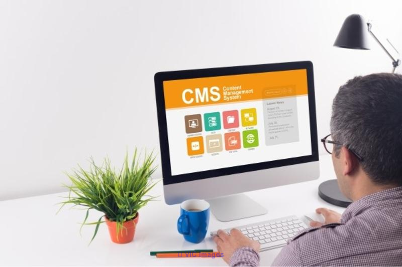 Are you looking to create or enhance your WordPress website?