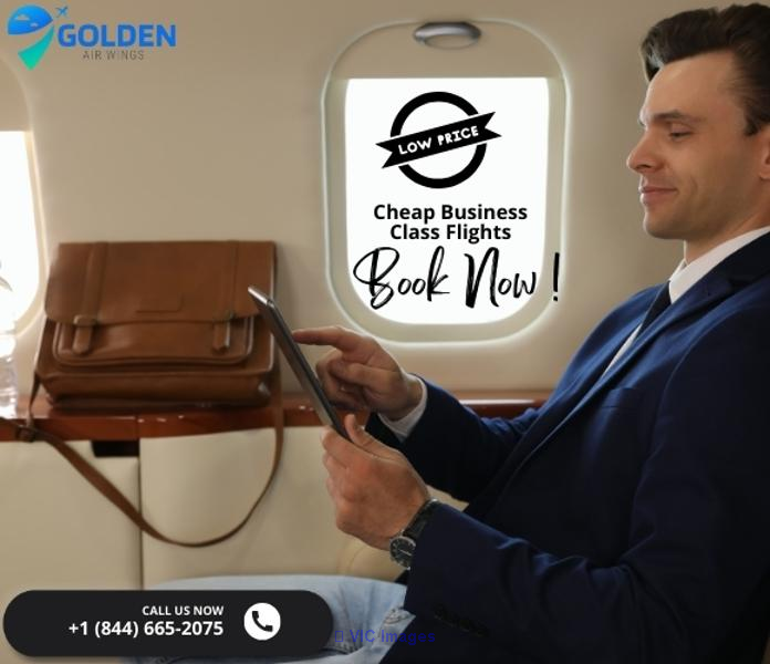 Take Flight with Golden Air Wings: Exclusive Southwest Airlines