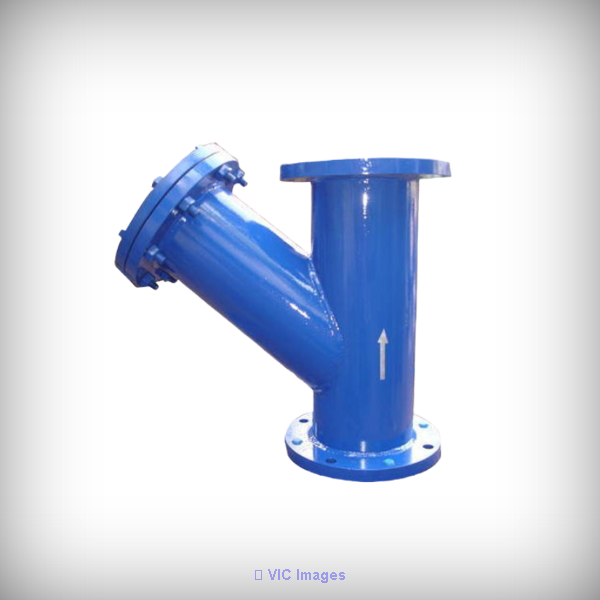 strainers Valve manufacturer in India