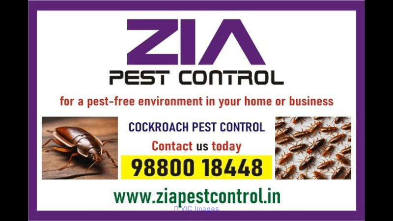 Cockroach service treatment Rs. 999/- only | Zia pest control | AMC is available | 1978