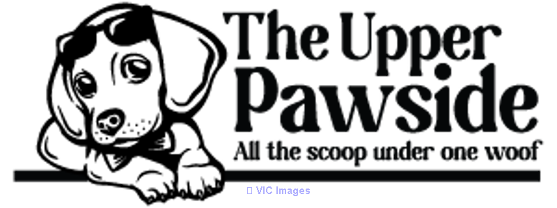 The Upper Pawside