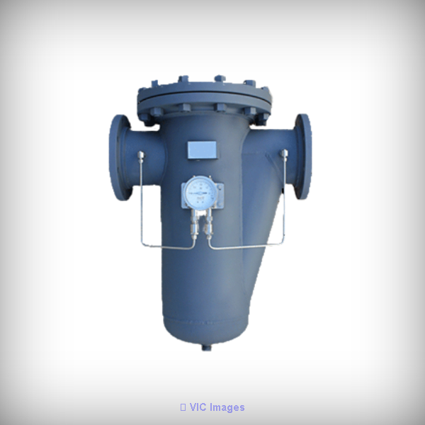 strainers Valve manufacturer in India