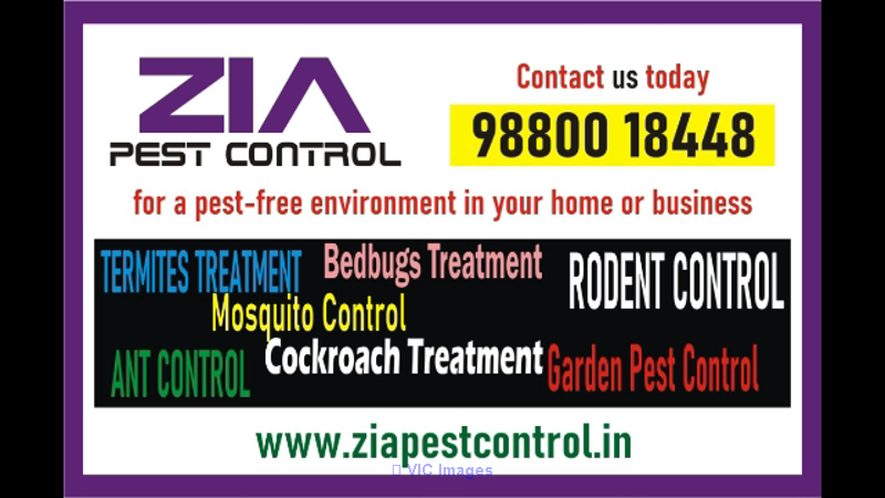Pest control Service | 35% Off for Paying Guest  | 3025 | Bangalore