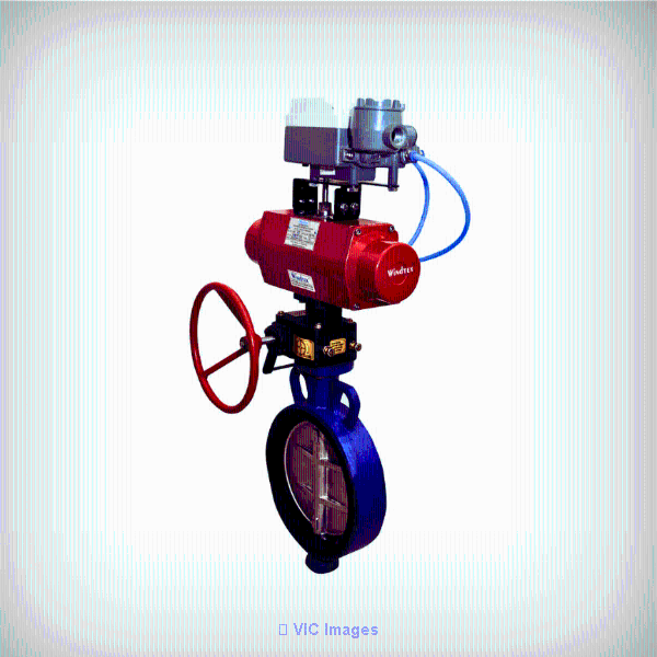 Butterfly Valves Manufacturers and Suppliers in India