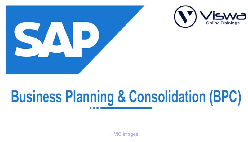 SAP BPC Professional Certification & Training From India