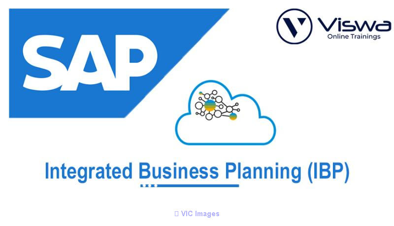 SAP IBP Course Online Training Classes from India
