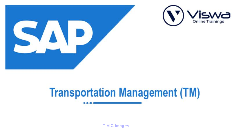 SAP TM Online Training By VISWA Online Trainings From Hyderabad India