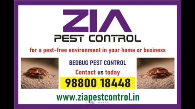 Bedbug Service | Bedbug Treatment Price List | Residence | shivajinaga