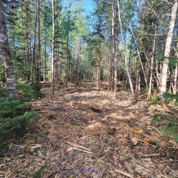 Prime 23,125 sqft Waterfront Land, Lac-Supérieur, Laurentians / Terrain riverain de 23 125 pi², Lac-Supérieur, Laurentides