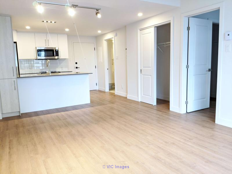 Cozy 1-Bedroom Apartment Near University City - Available July / Appartement 3 1/2 Près de la Cité Universitaire - Disponible Juillet