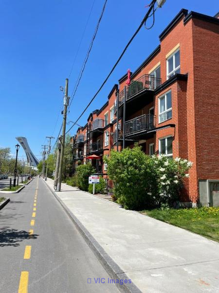 Spacious 3-Bedroom Condo with Cathedral Ceilings Near Olympic Stadium / Condo spacieux de 3 chambres avec plafonds cathédrale près du Stade Olympique
