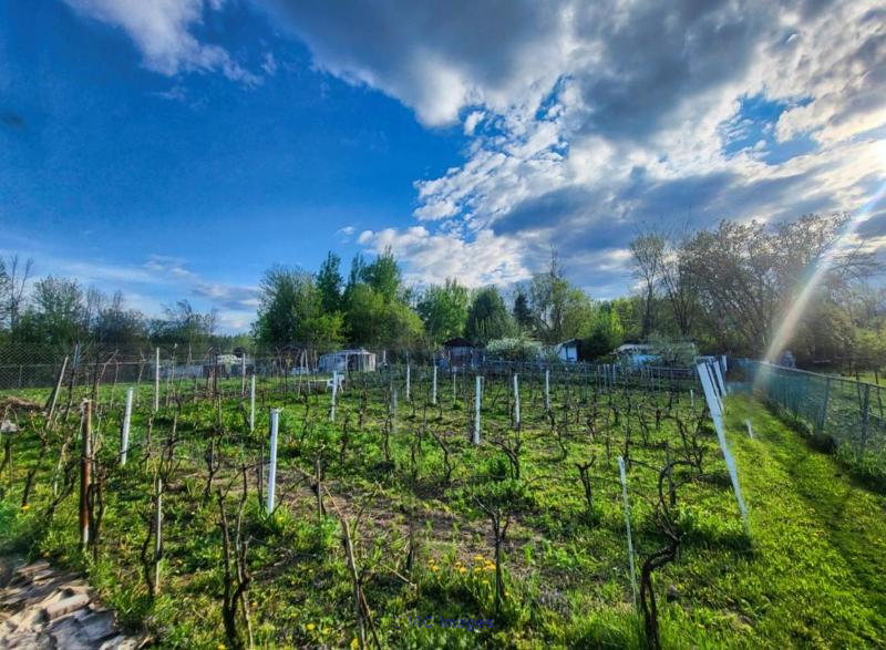Agricultural or Livestock Land for Sale in Auteuil Laval - 6,500 Sq Ft / Terrain agricole ou d'élevage à vendre à Auteuil Laval - 6 500 pieds carrés