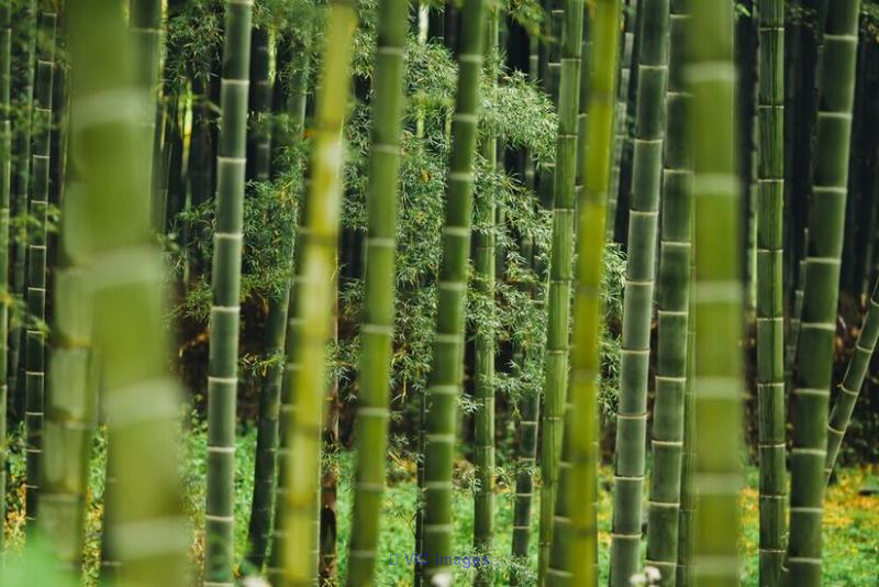 Reusable Products Supplier | Eco-Friendly Solutions / Fournisseur de Produits Réutilisables | Solutions Écologiques