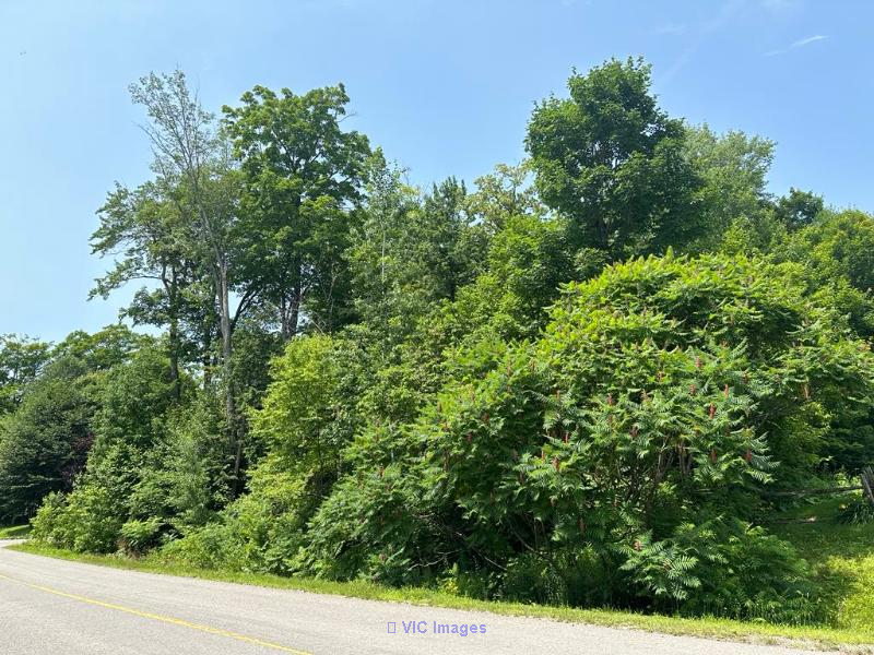 Beautiful Residential Land in Prime Sainte-Sophie Location / Beau terrain résidentiel à Sainte-Sophie