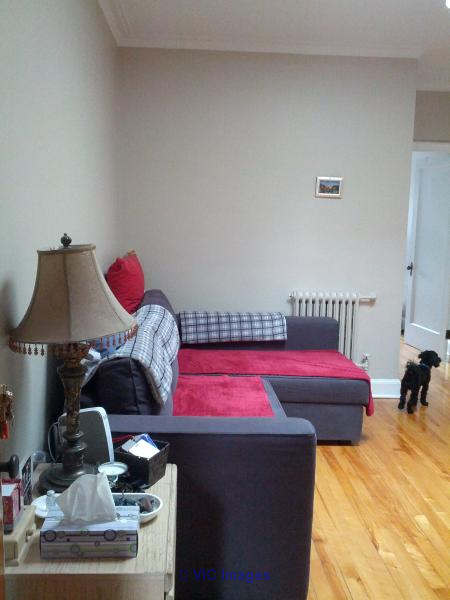 Charming 3.5 Apartment in Rosemont / Charmant appartement 3 et demi à Rosemont