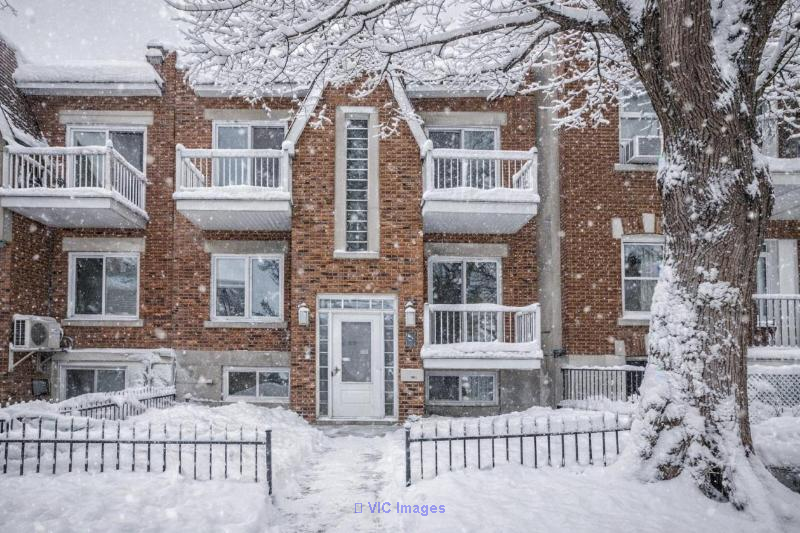 Renovated Condo with 3 Terraces in Petite-Patrie / Condo rénové avec 3 terrasses à Petite-Patrie