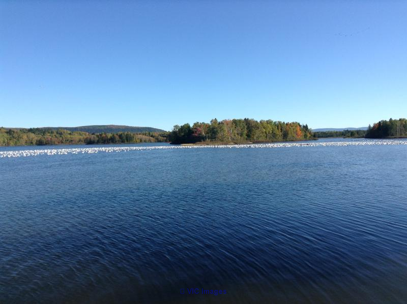 Campground, Outdoor Resort & Base for Sale in Gaspesie / Terrain de camping, base de plein air et complexe à vendre en Gaspésie