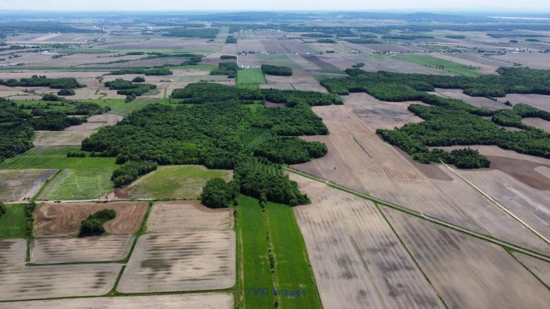 Agricultural Land for Sale: 67 Acres in Mirabel / Terrain agricole à vendre : 67 acres à Mirabel