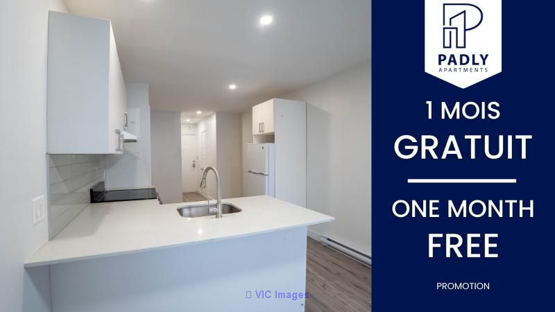 Affordable Modern Studios Near Viau Metro $940/Month / Studios Modernes Abordables Près du Métro Viau 940$/Mois